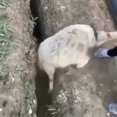 When you don't learn from your mistakes