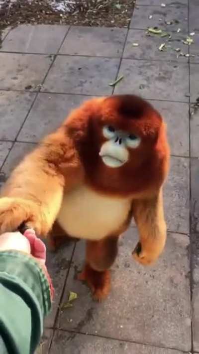 mono