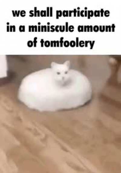 yes