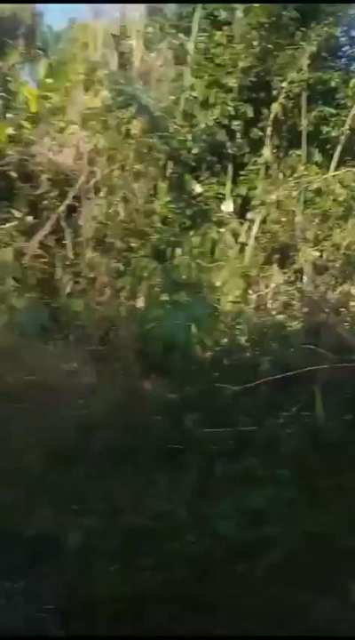 The Kuki volunteers' perspective on the firefight against a combined team of Arambai Tenggol and UNLF on January 27, 2024, in the kuki village of Govajang Khamenlok area