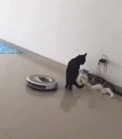 "Keep walking Gary, this doesn't concern you!"