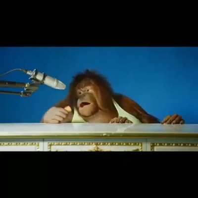 ASMR Monkey