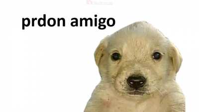 😭😭😭😭😭😭😭😭😭(no se si sea repost)