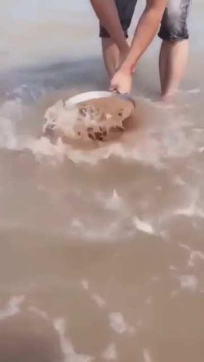 Maybe Maybe Maybe