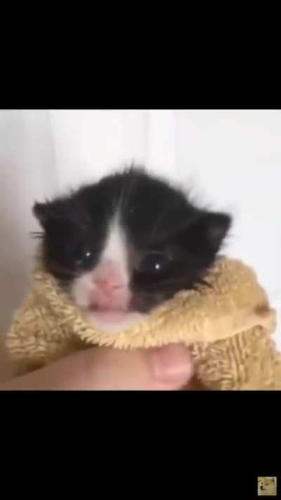 AHHHHH