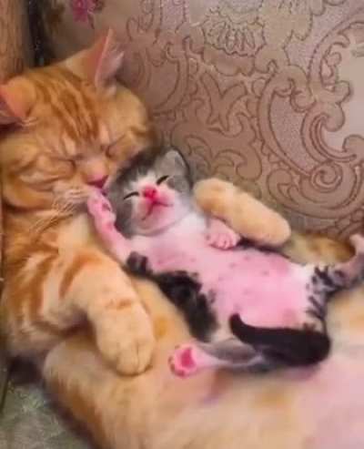 Here&rsquo;s a couple of sleepy heads to brighten up your day