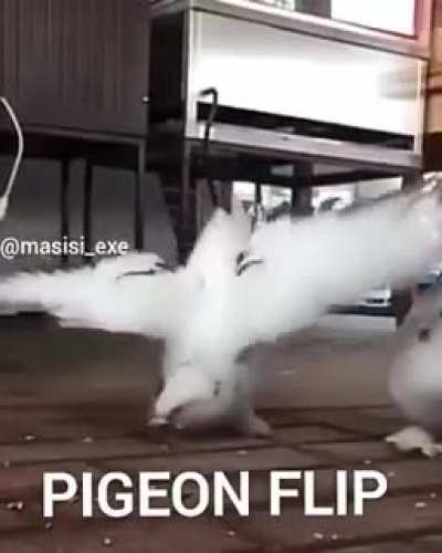 Sab&iacute;an que la...