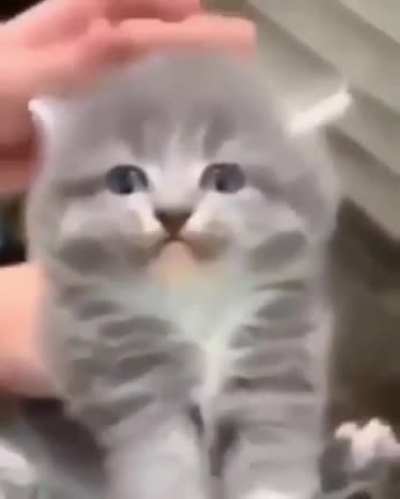 HAAAAAAAaa
