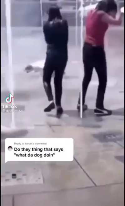 What he doin