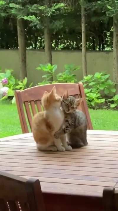 Cutest couple. 