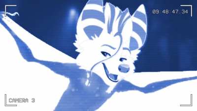 Flight_irl