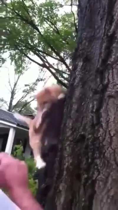 He set him free!