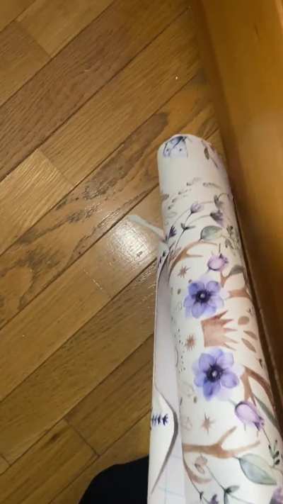 So here I am, hanging wallpaper when I think I see&hellip;