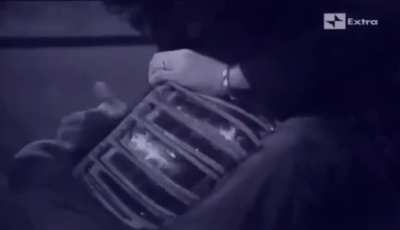 Goblin (an Italian Prog Rock band) performs the main theme they composed for "Suspiria", on Italian Television in 1977