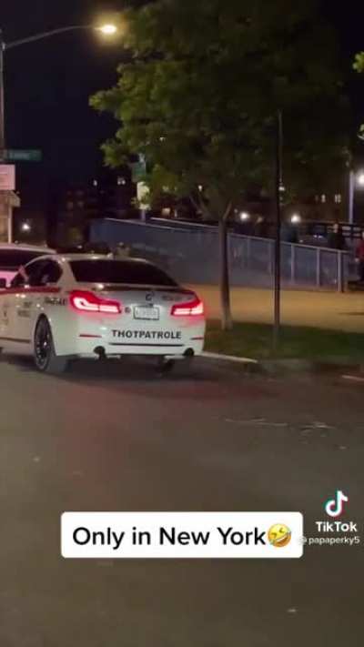 The &ldquo;Thot Patrole&rdquo; has shown up in NY