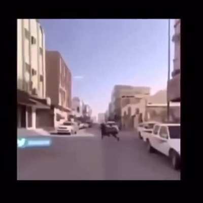 Saudi lockdown nostalgia