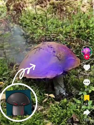 🍄&zwj;🟫
