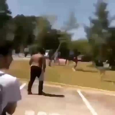 KO ends brawl