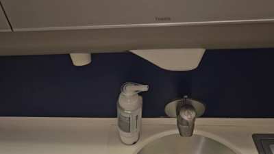 She&rsquo;s having a good time in the airplane restroom 