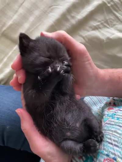 Criminal destroys evidence while being detained