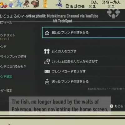 fish credit fraud
