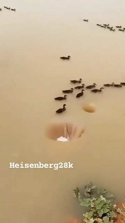ok