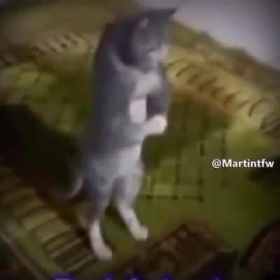 ⚠️⚠️⚠️HARAM CONTENT⚠️⚠️⚠️