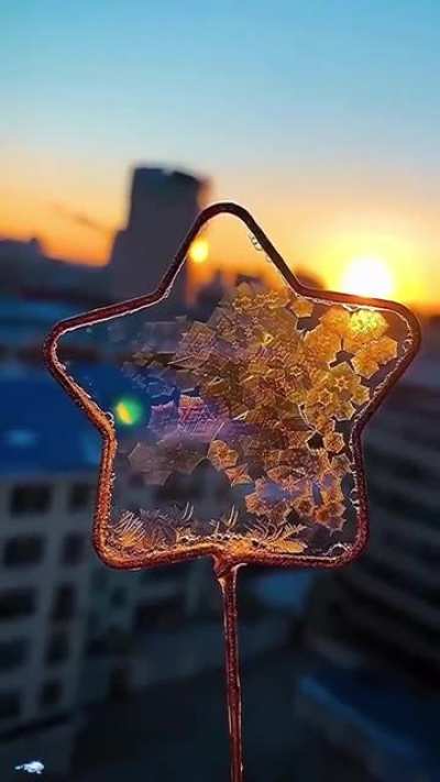 Nature's art in -30&deg;
