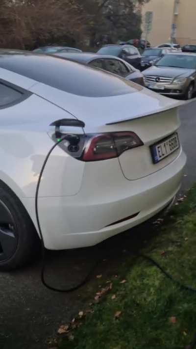 Tesla owners...