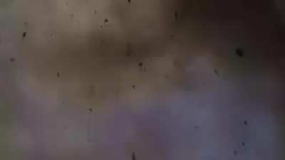 This is what it's like to be on the business end of an A-10 Warthog's 30mm Gatlin gun-style autocanon. FYI, if you hear the "BRRRTTTT" from the gun, they weren't aiming at you. (These are not even the explosive rounds that are used in a real world situati