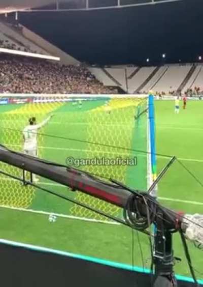 Brazilian fans shouted 