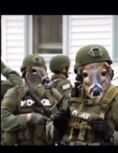 Fuck them deer