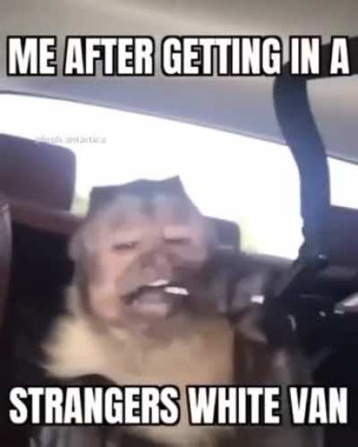Free candy