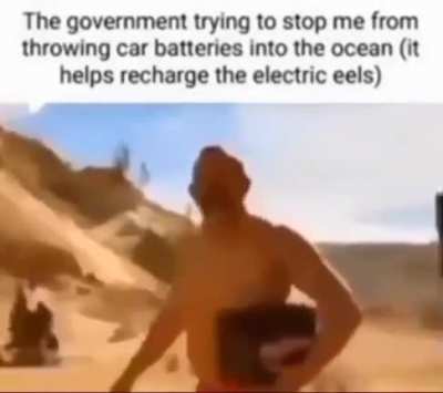 But the eels..