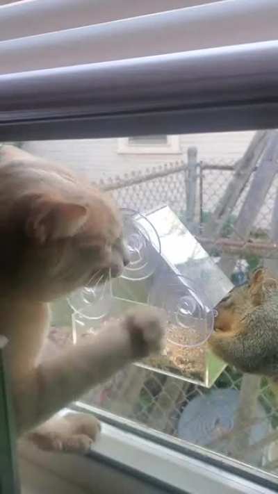 Toast doesn't understand how windows work