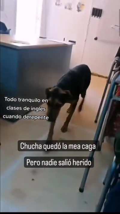 el undeltaike