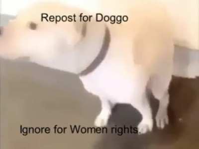 Ignore