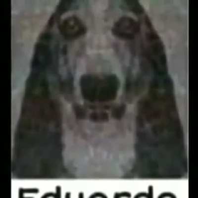Eduardo