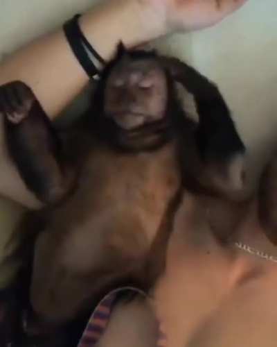 Si