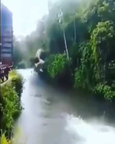 Yesyesyesyesno