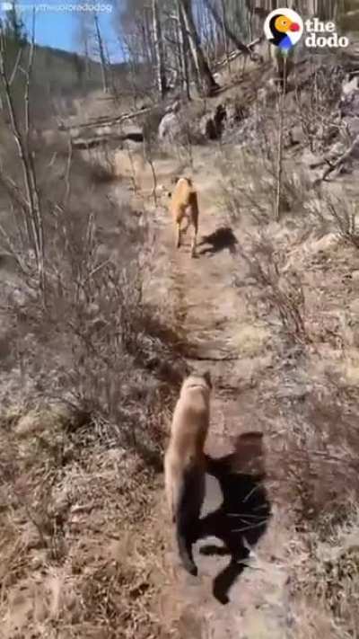 We are going on an adventure