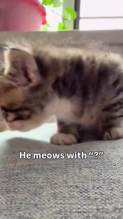 Lil Philosopher