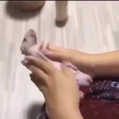 me to my balls