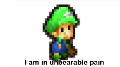 luigi_irl