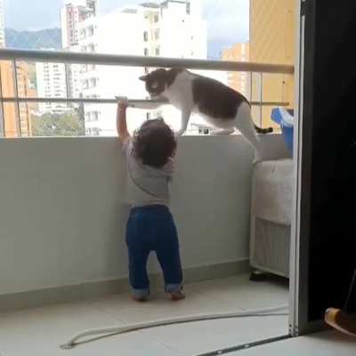 Cat is very worried for the kid