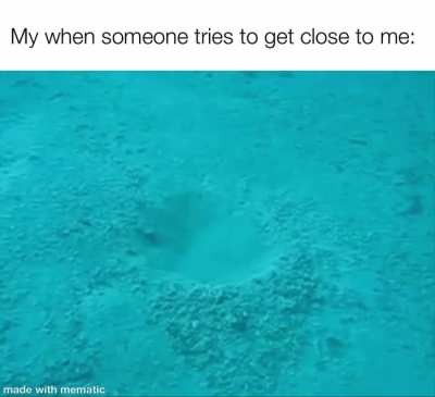 me_irl