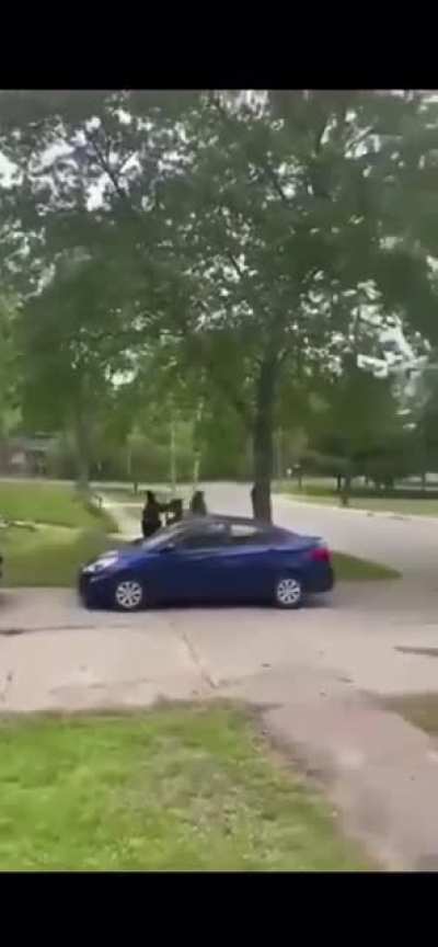 taser ass