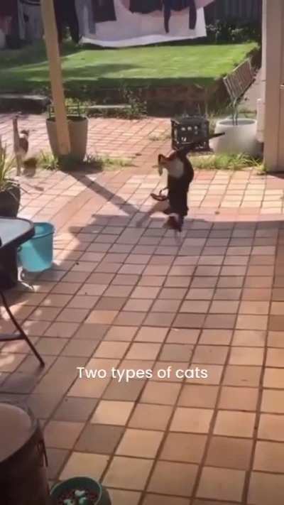 i'm the 2nd one for sure