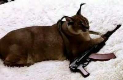 COMMUNIST FLOPPA?!?