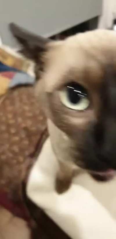 "Hello, I see that you are now home"